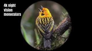 4K উচ্চ মানের নাইট ভিশন মনোকুলার