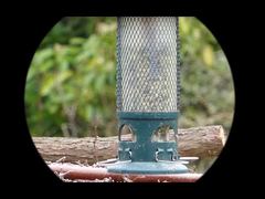 4K ভিডিও মিনি91 নাইট ভিশন মনোকুলার