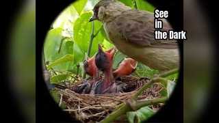 হন্ডিগি নাইট ভিশন গগলস পর্যবেক্ষণ